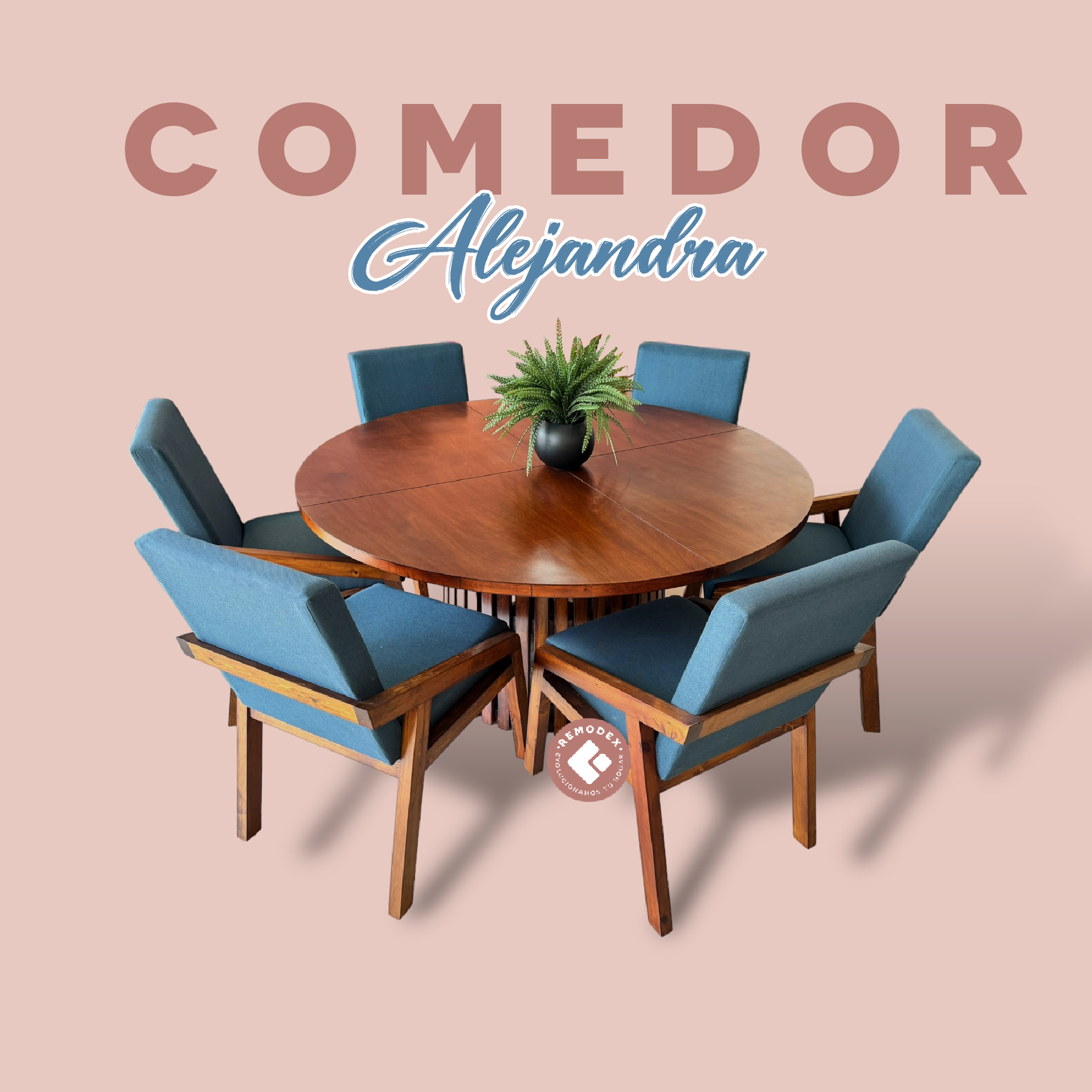 COMEDOR 6P CIRCULAR OLIVIA/ALEJANDRA