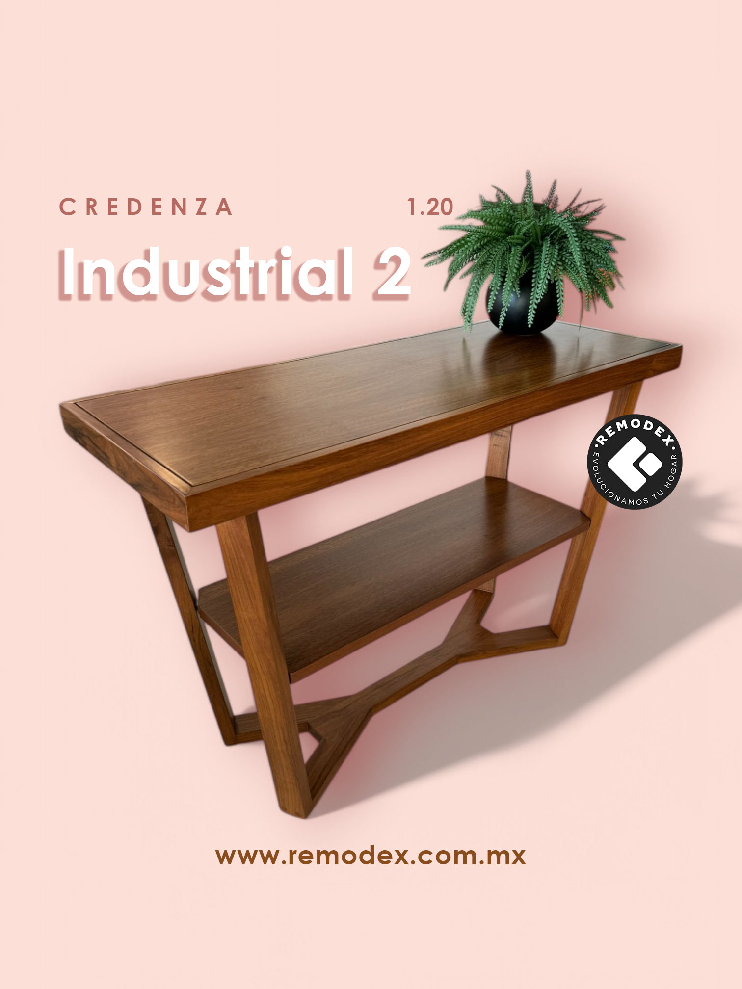 CREDENZA MOD. INDUSTRIAL 2