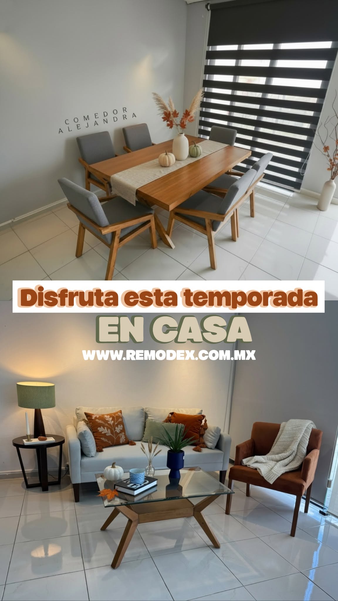 PAQUETE SALA + COMEDOR RM26
